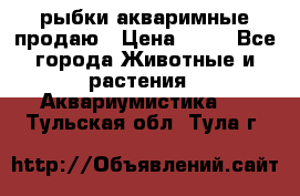 рыбки акваримные продаю › Цена ­ 30 - Все города Животные и растения » Аквариумистика   . Тульская обл.,Тула г.